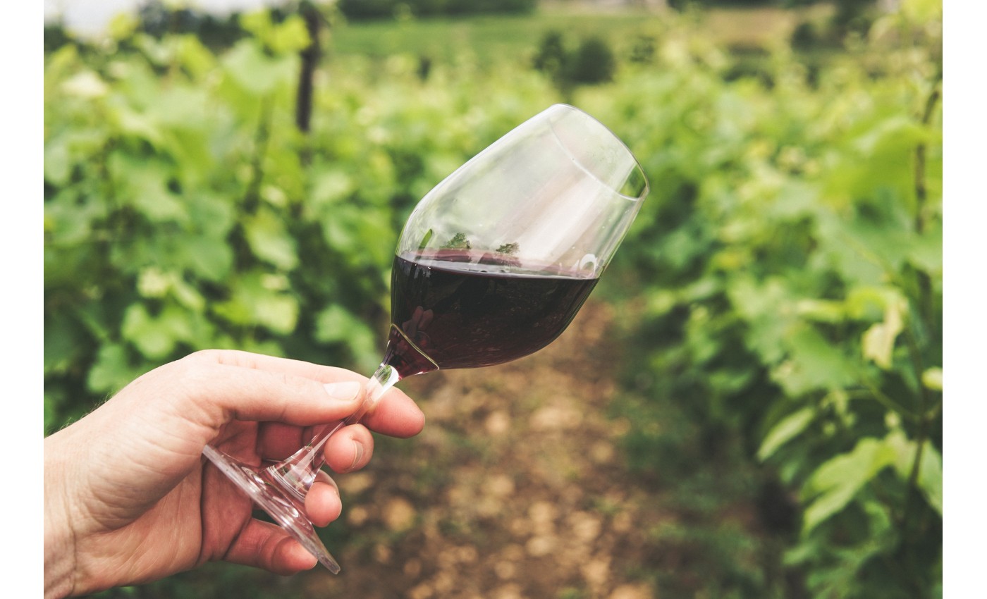 Soirée dégustation le 31 mars 2023 :  La Syrah à travers le monde